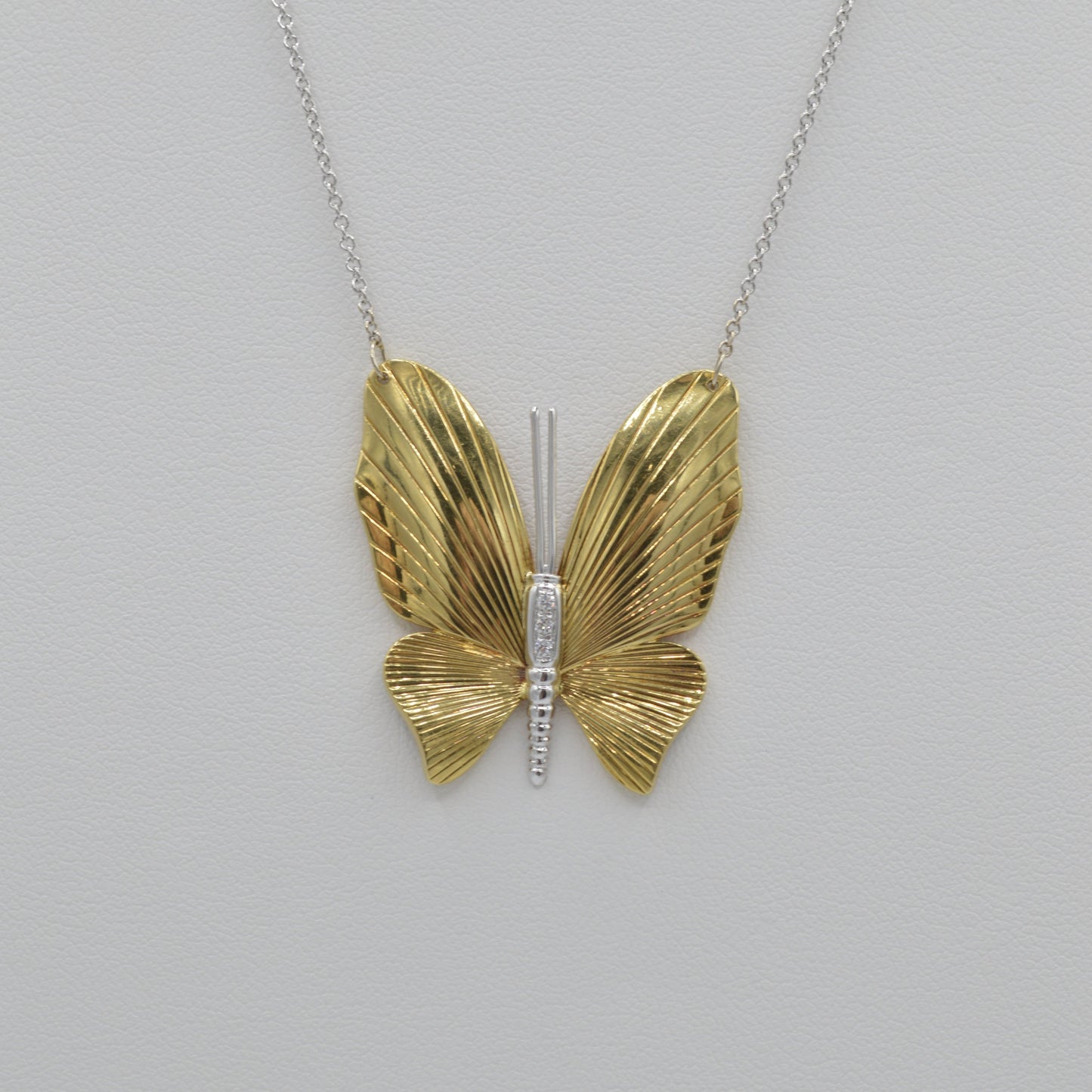 Dichromatic Mariposa