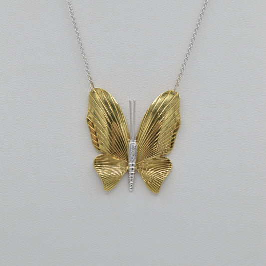 Dichromatic Mariposa