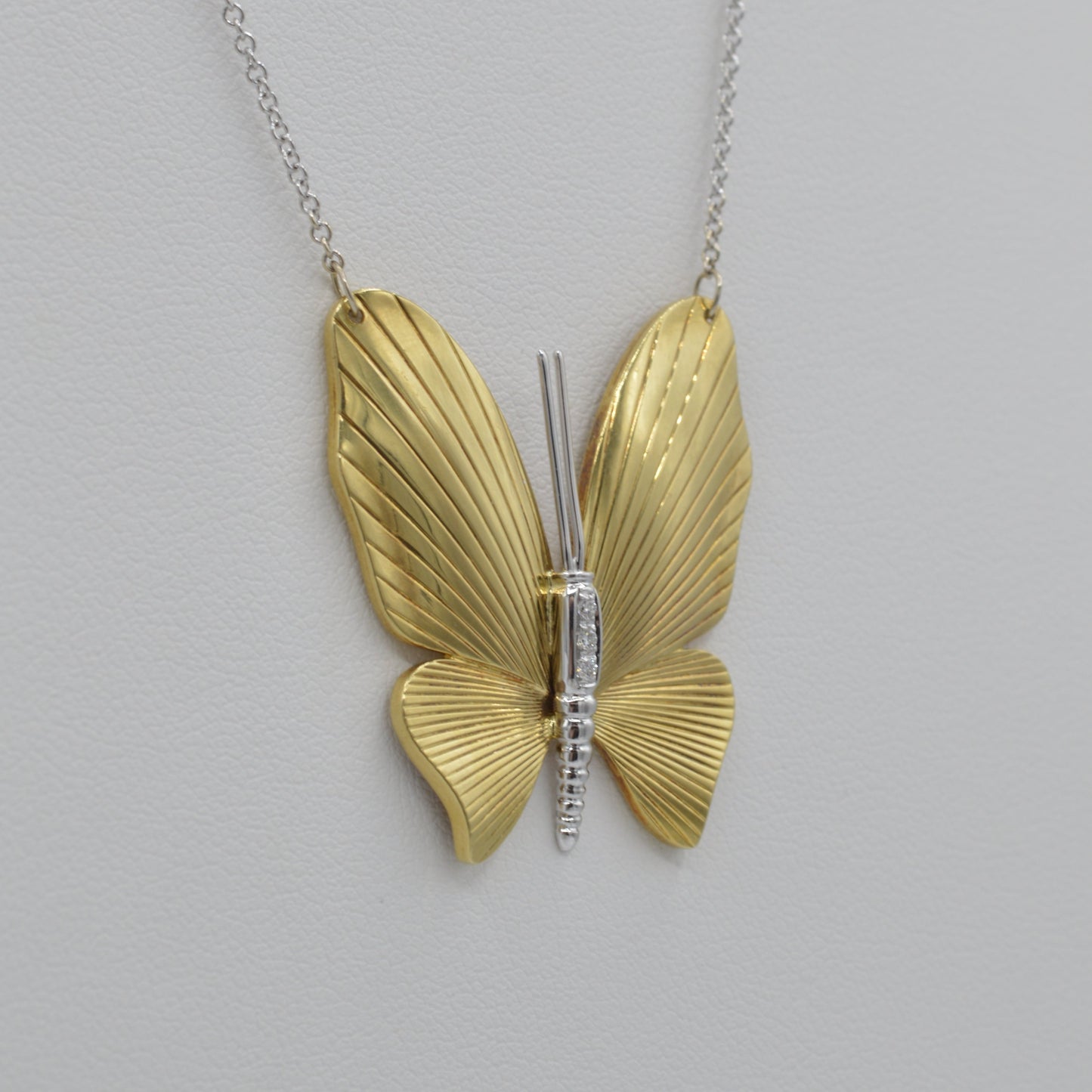 Dichromatic Mariposa
