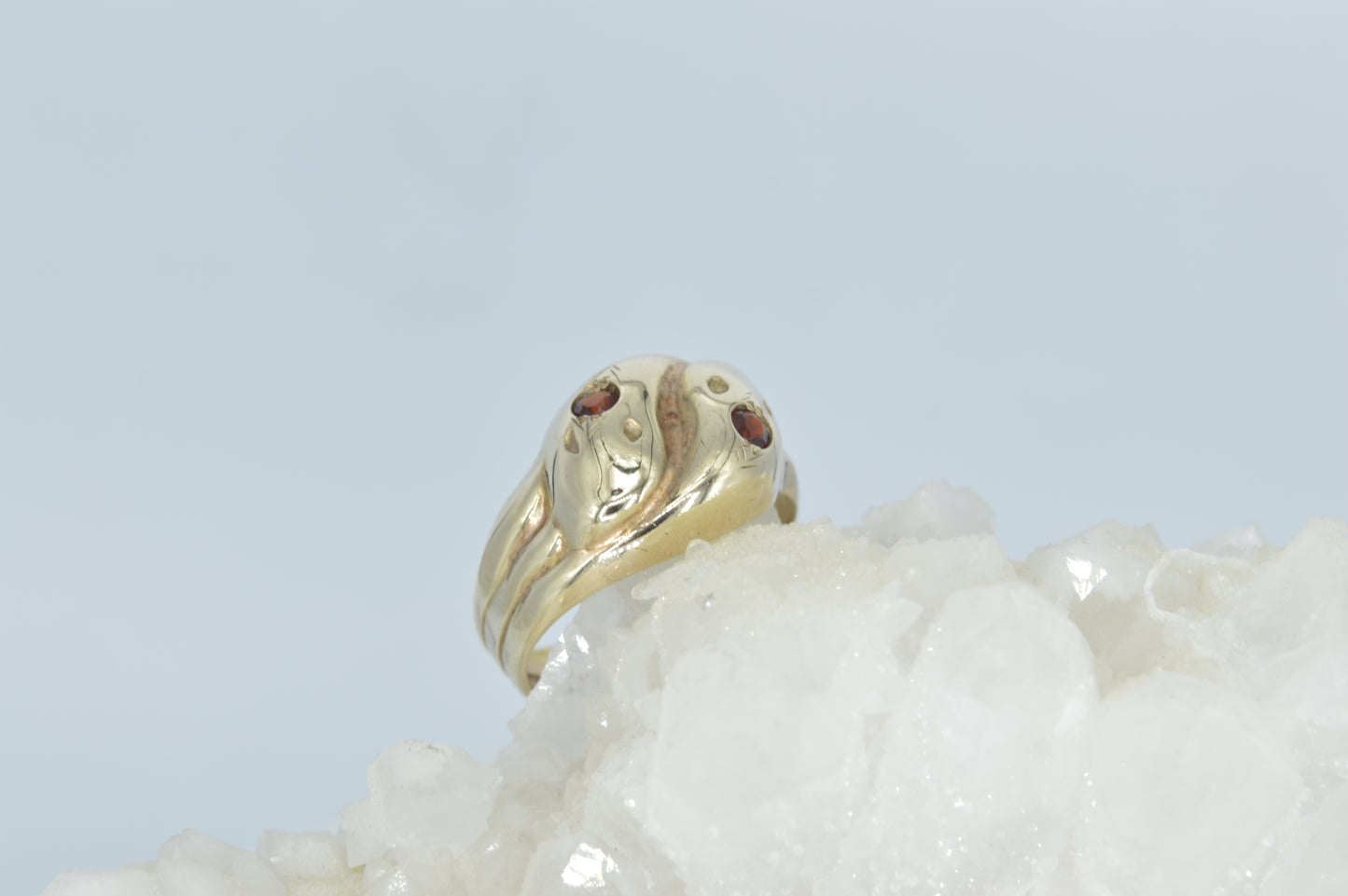 Garnet Pisces Ring
